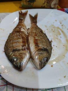 Una foto de Doradas a la plancha