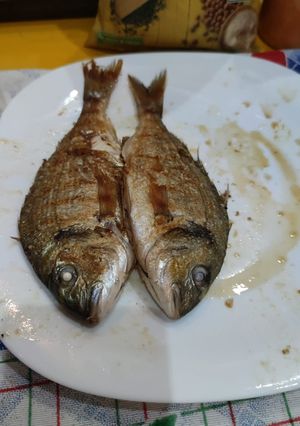 Una foto de Doradas a la plancha