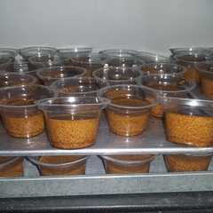 รูปของ Puding Lumut Gula Merah