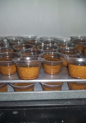 Foto resep Puding Lumut Gula Merah
