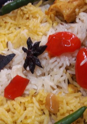 A picture of Chicken biryani.