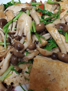 醬燒香菜鴻禧菇豆腐 的食譜成品照片