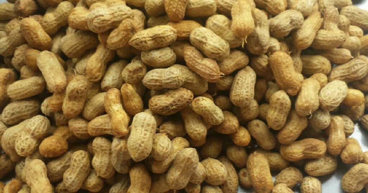 Boiled Fresh Groundnut Recipe by Enefola Joy Owoicho - Cookpad