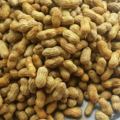 A picture of Boiled fresh groundnut.