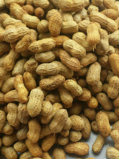 A picture of Boiled fresh groundnut.