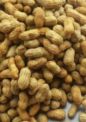 A picture of Boiled fresh groundnut.
