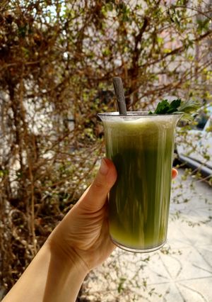 عکسی از دستور آب کرفس