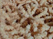 Gambar kue marke wijen