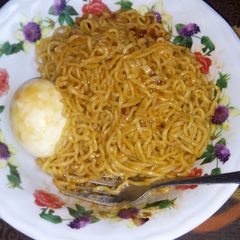 A picture of Noodles.