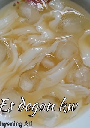 Foto resep Es degan kw