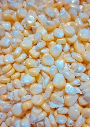 Foto resep Memipil Jagung Manis