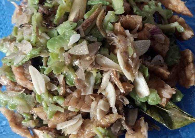 Resep Patete (Pare teri tempe), Enak