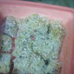 รูปของ nuget sayur