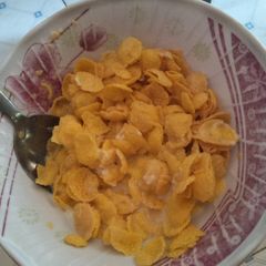 A picture of Cornflakes.
