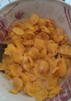 A picture of Cornflakes.