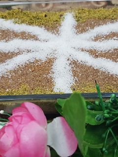 صورة لوصفة 🌺 حلى الشعيرية 🌺