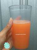 #26 Jus Diet Sehat (wortel + manggis)