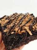 Brownie fit