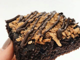 Brownie fit