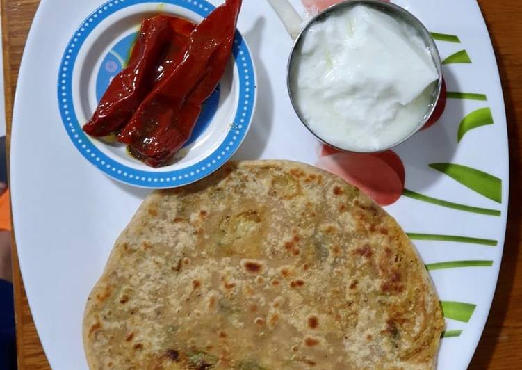 Cauliflower and spring onion paratha