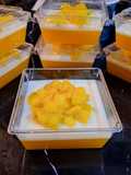 Puding Mangga Haan