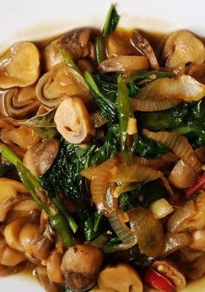 Foto resep Jamur kancing