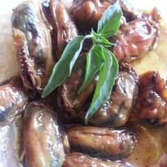 A picture of Kerang Sederhana.