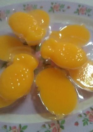 Foto resep Puding mangga nutrijel