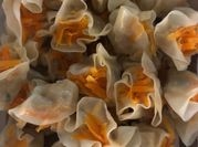 Gambar siomay lemak sapi