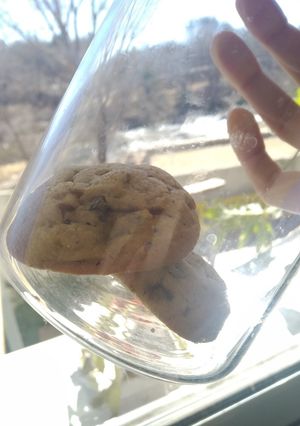 Una foto de Galletitas con chips de chocolate (versión húmeda)