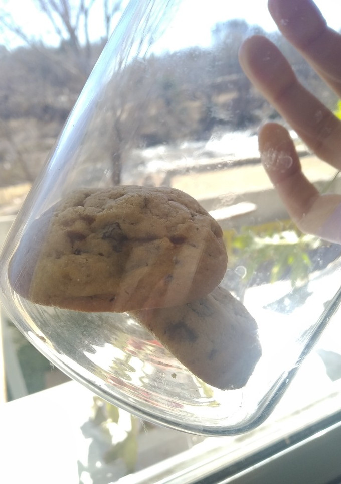 Una foto de Galletitas con chips de chocolate (versión húmeda)