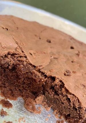 Una foto de Brownie