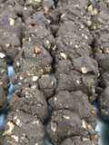 Blackout Chocolate Chip Cookies