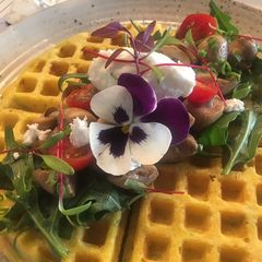 A picture of Moong Dal waffles.