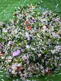 Urap Bebele (Pegagan)
