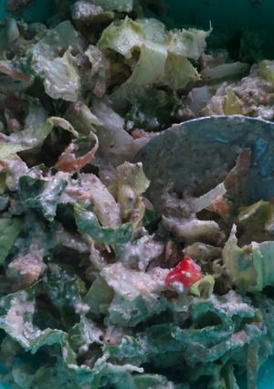 Una foto de Ensalada vegan/paleo/keto?
