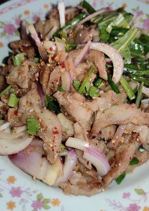 รูปของ น้ำตกคอหมูย่าง