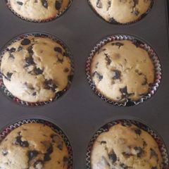 A picture of Chocolate chip muffins.