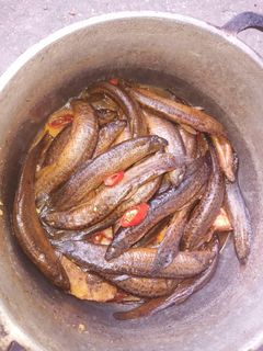Hình của món Chạch đồng kho tương bần.