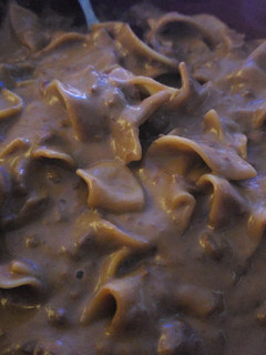 A picture of Stroganoff.
