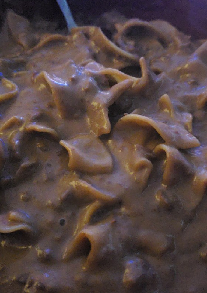 A picture of Stroganoff.