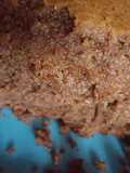 Pastel de coca cola