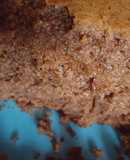 Pastel de coca cola