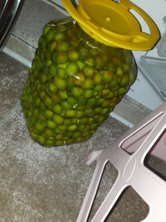 عکسی از دستور ترشی آلو سبز