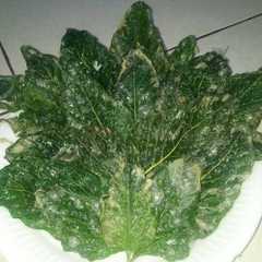 รูปของ Keripik bayam