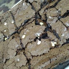 Fudge Brownies A picture of Fudge Brownies.