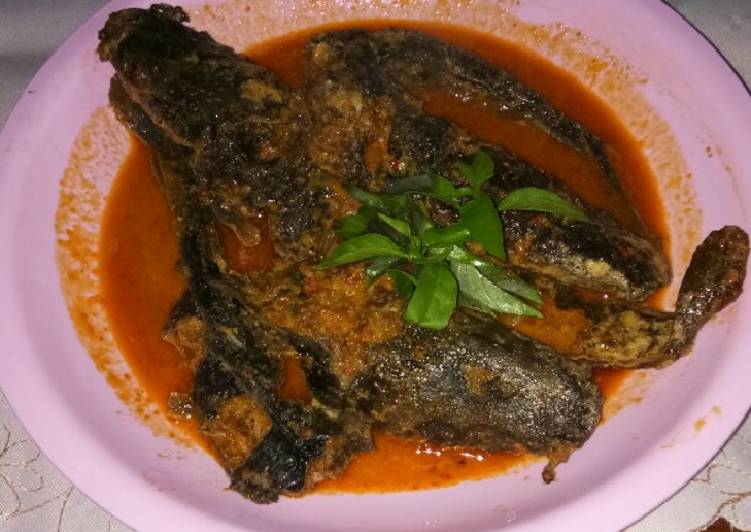 Featured image of post Resep Olahan Lele Pedas / Karena ikan lele mengandung protein yang banyak diperlukan oleh tubuh kita.
