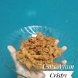 Usus Ayam Crispy