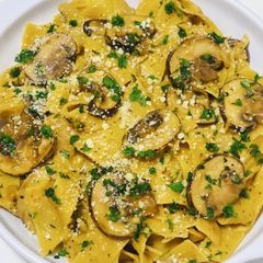 A picture of Mushroom Stroganoff with Pappardelle.