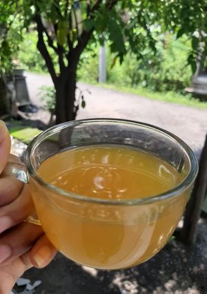 Foto resep Pengusir Bapil